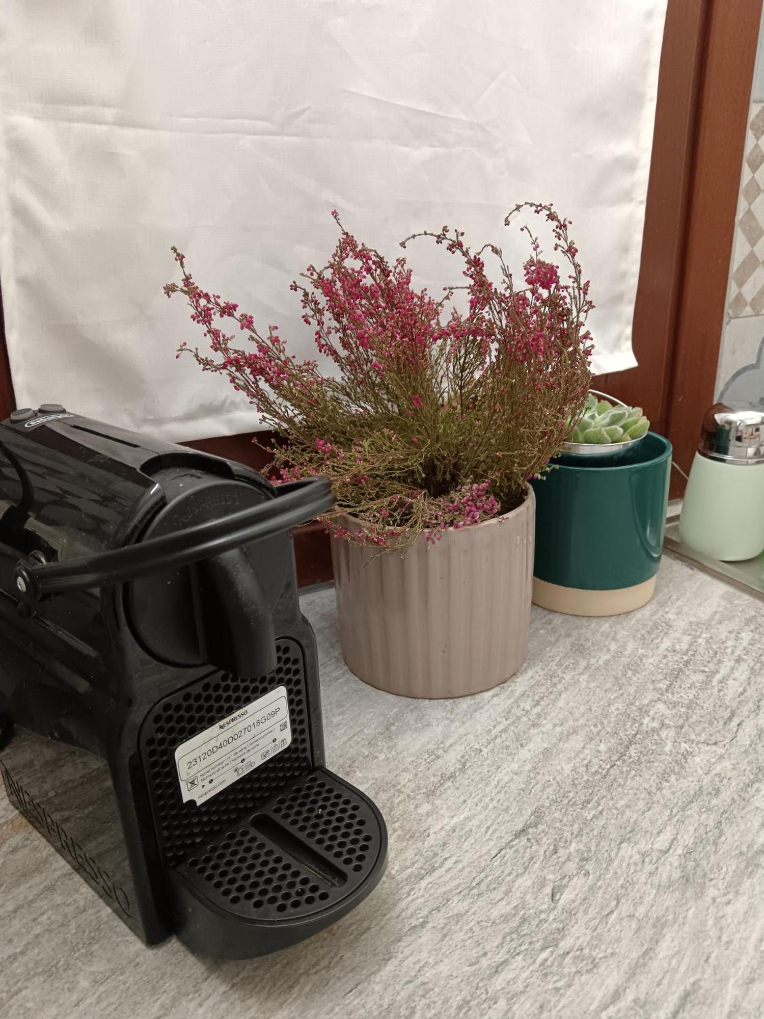 פלרמו Casa Petri Home Spa מראה חיצוני תמונה